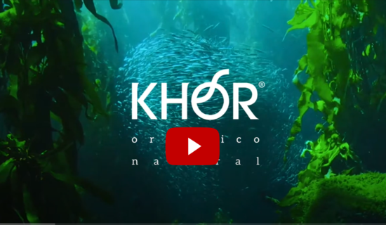 Video_KHOR