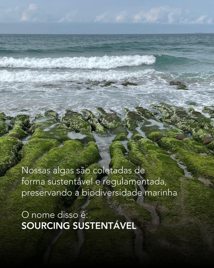 sourcing sustentavel na KHOR